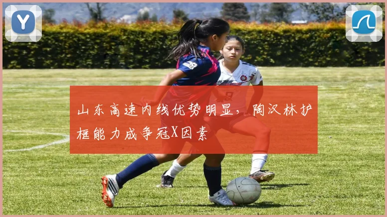 山东高速内线优势明显，陶汉林护框能力成争冠X因素