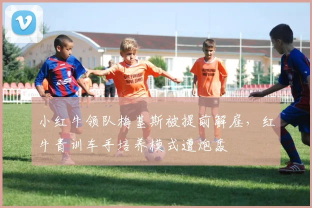 小红牛领队梅基斯被提前解雇,红牛青训车手培养模式遭炮轰