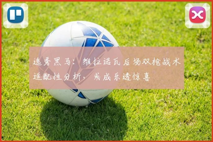 选秀黑马：维拉诺瓦后场双枪战术适配性分析，或成乐透惊喜